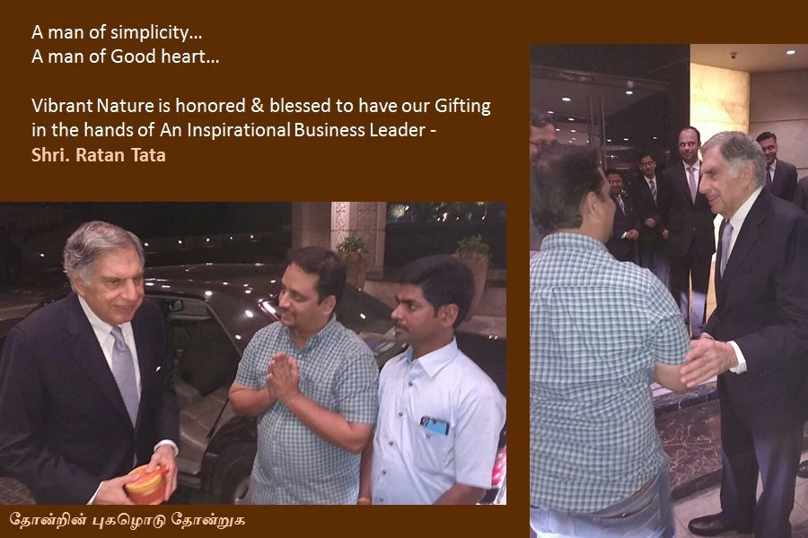 Client Testimonial